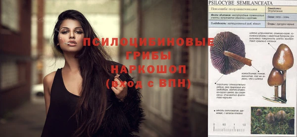 СК Аркадак