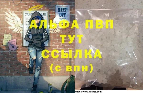 СК Аркадак