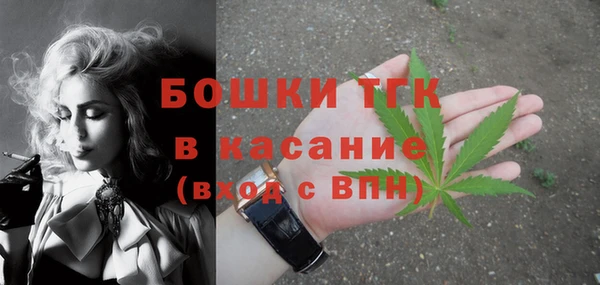 СК Аркадак