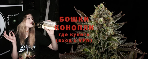 СК Аркадак