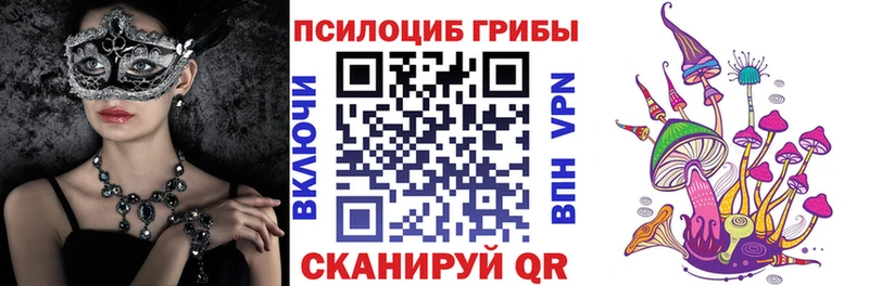 цены   Шацк  Галлюциногенные грибы мухоморы 